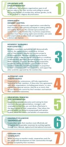 7 cooperative principles from NRECA