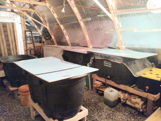 inside vermiculture shed